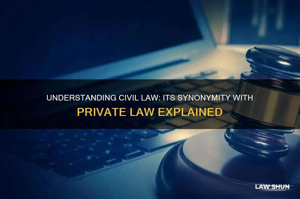 is civil law also known as private law