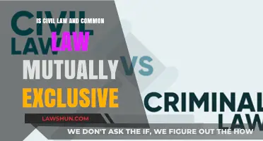 Civil Law vs Common Law: Are They Distinct?