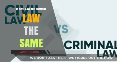 Civil vs Common Law: What's the Difference?