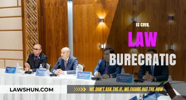 Is Civil Law Overly Bureaucratic? Exploring Efficiency and Complexity