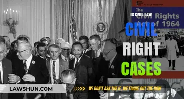 Civil Law and Civil Rights: A Complex Relationship