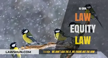 Understanding Civil Law vs. Equity Law: Key Differences Explained
