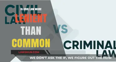 Civil Law: Lenient or Strict?