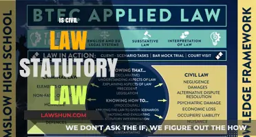 Understanding Civil Law: Is It Truly Statutory Law?