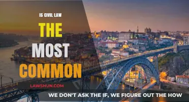 Civil Law: The Most Common Legal System Globally?