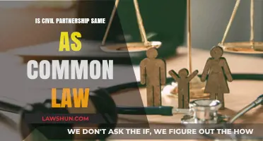 Civil Partnership vs Common Law: What's the Difference?