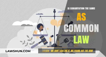 Cohabitation vs. Common Law: What's the Real Difference?