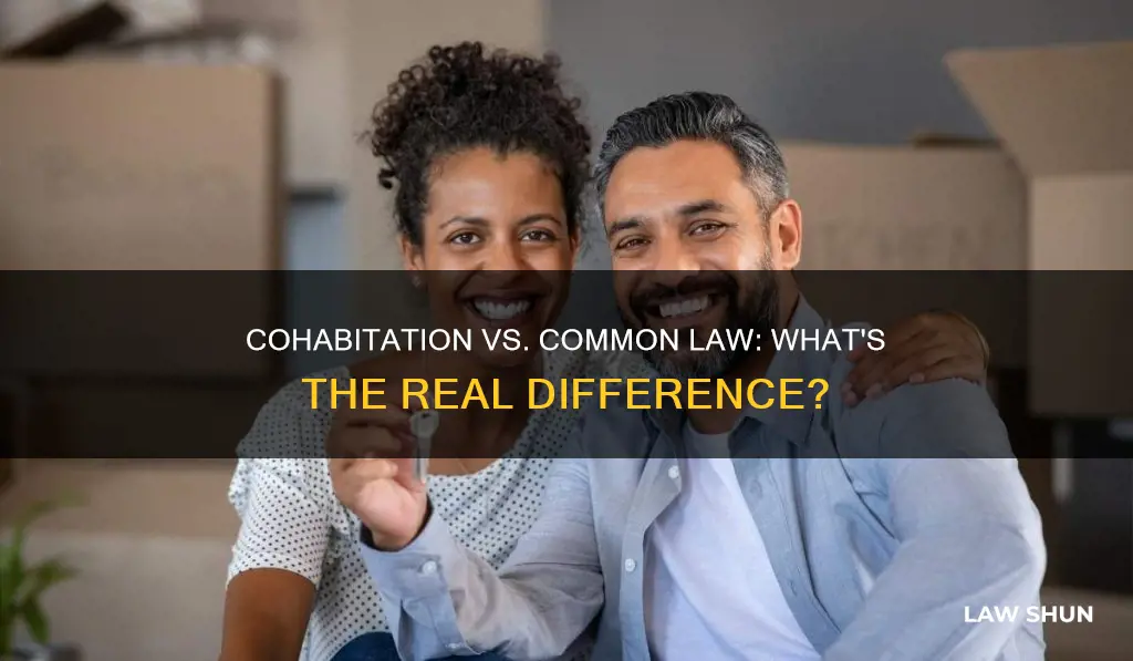 is cohabitation the same as common law