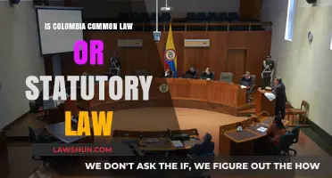 Understanding Colombia's Legal System: Common or Statutory Law?