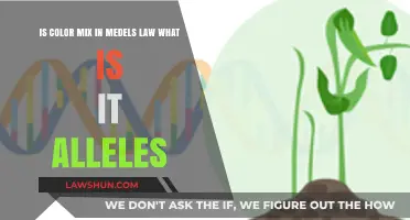 Understanding Mendel's Law: Alleles and Color Mixing in Genetics