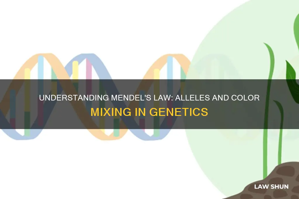 is color mix in medels law what is it alleles