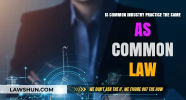 Industry Practice vs Common Law: What's the Difference?