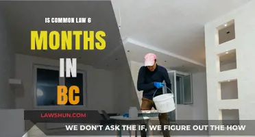 Common-Law Relationships in BC: The Six-Month Mark