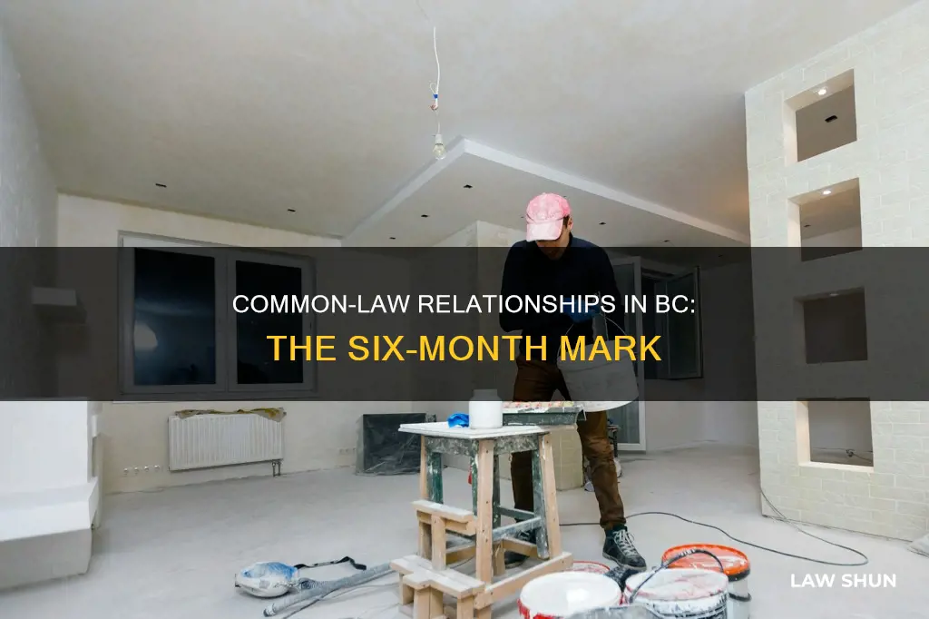 is common law 6 months in bc