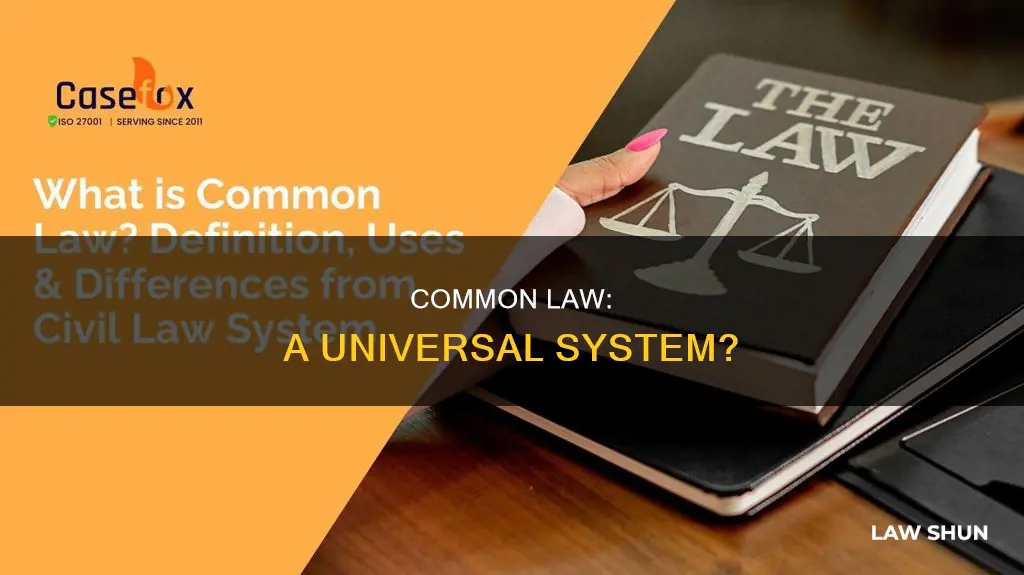 is common law a common system