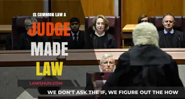 Common Law: Judge-Made or Not?