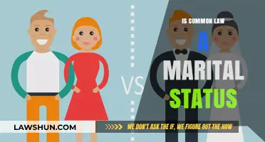 Common-Law Marriage: Legally Married or Not?