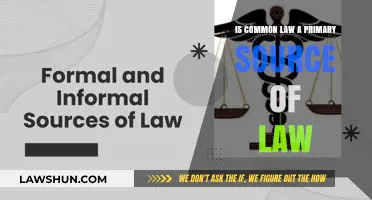 Common Law: Primary or Secondary Source?