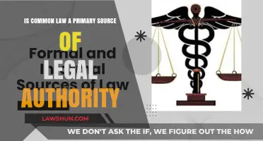 Common Law: A Primary Legal Authority?