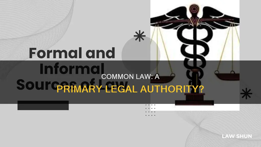 is common law a primary source of legal authority