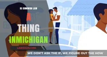 Common-Law Marriage in Michigan: What's the Deal?