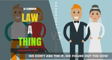 Common Law: Is It a Real Thing?