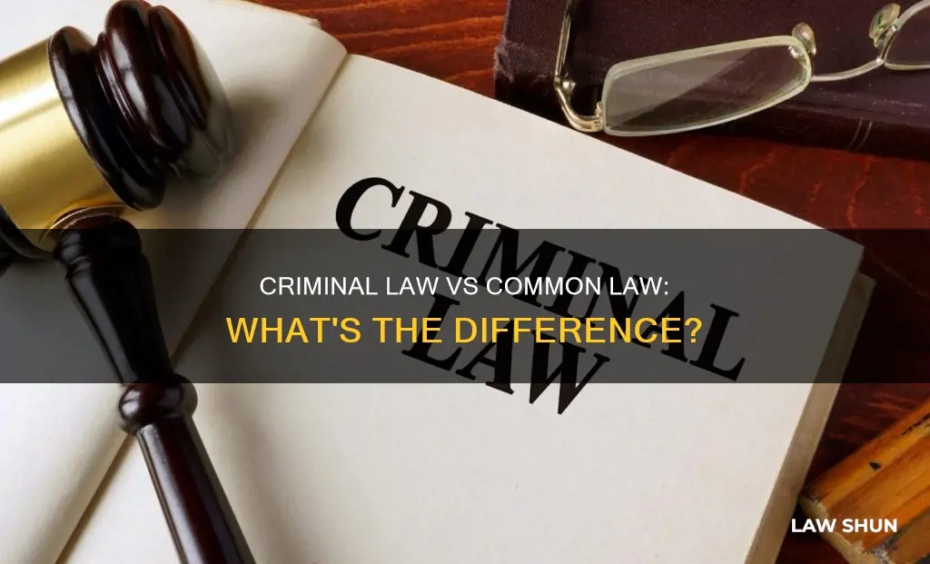 is common law and criminal law the same