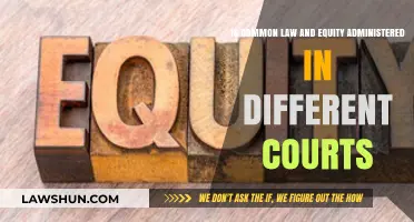 Equity and Common Law: Different Courts, Different Rules