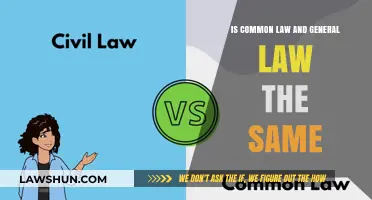 Common Law and General Law: Are They Synonymous?