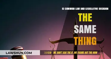 Common Law and Legislative Decisions: Two Sides of Law