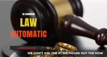 Common Law: What's the Deal?