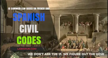 How Common Law Differs from French and Spanish Civil Codes