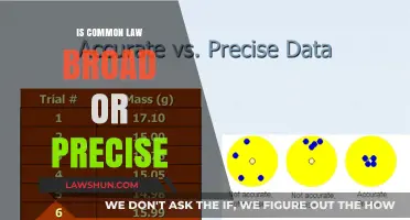The Evolution of Common Law: Broad or Precise?
