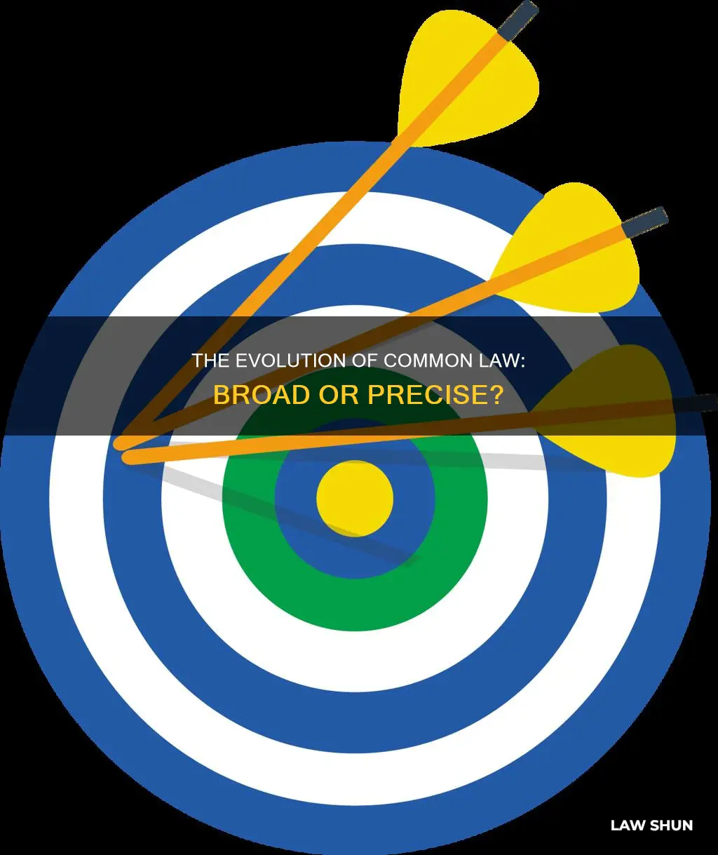 is common law broad or precise