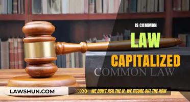 Capitalizing Common Law: A Proper Writing Guide