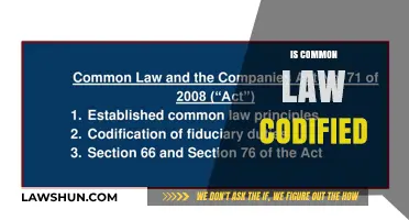 Common Law Codification: A Confusing Conundrum