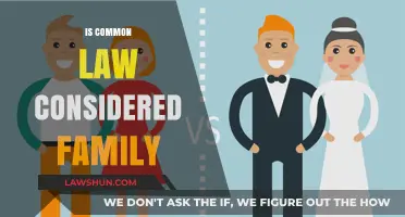 Common Law: A Modern Family?