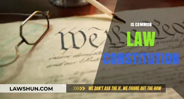Common Law and the Constitution: A Complex Relationship