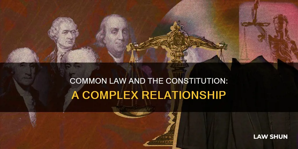 is common law constitutional