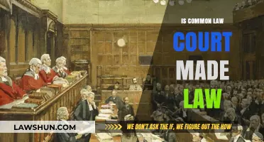 Common Law: Court-Made Law Explained