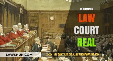 Common Law Courts: Are They Legitimate?