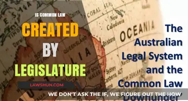 How Common Law and Legislature Intertwine