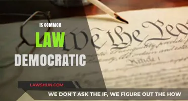 Common Law: Democracy's Legal Foundation