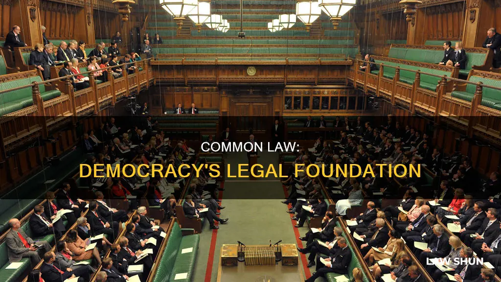 is common law democratic