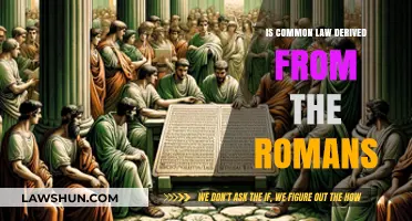The Roman Roots of Common Law