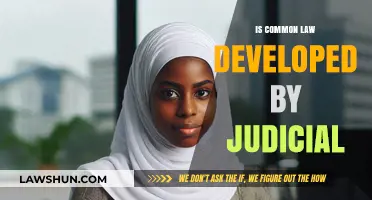 How Judges Develop Common Law