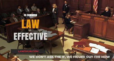 Common Law Effectiveness: A Valid System?