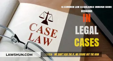 How Court Decisions Shape Common Law
