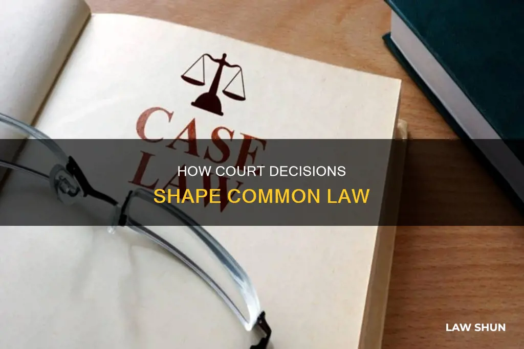 is common law established through court decisions in legal cases