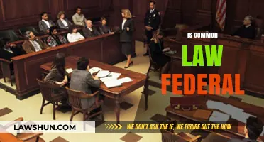 Common Law and Federal Law: What's the Difference?